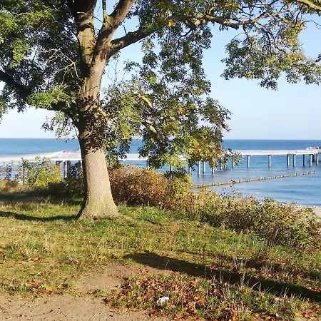 Daire Ostseetraum Koserow